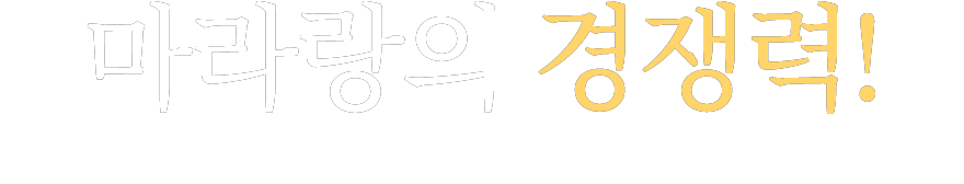 타이틀
